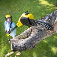 Sesser, IL Tree Services Company